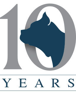 10 Anos Pelacani